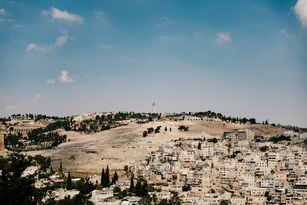 Fotografia contemporânea do Monte das Oliveiras, em Jerusalém.